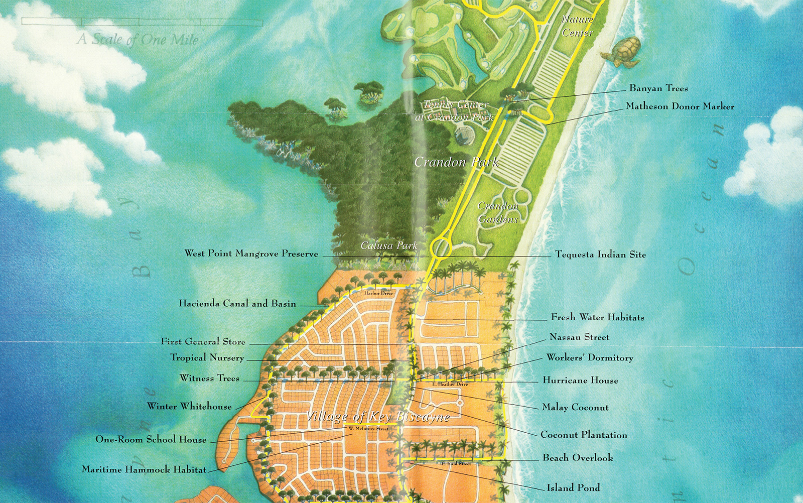 Key Biscayne - What To Know BEFORE You Go