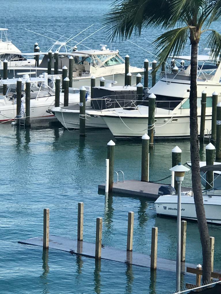 marine tides key biscayne yacht club